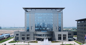 关于老哥稳论坛